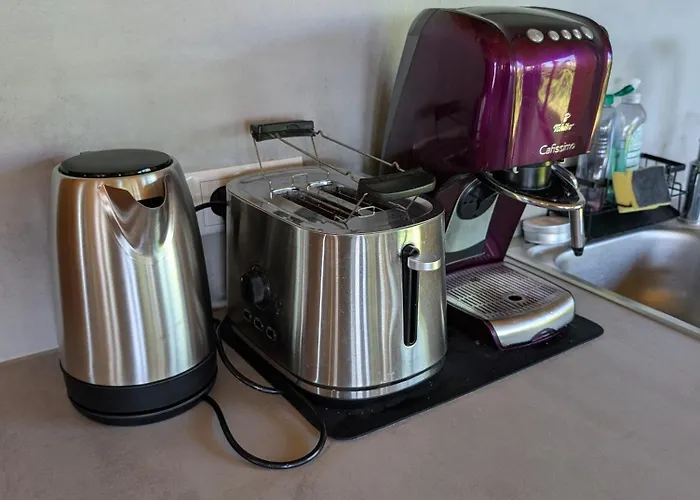 Enzo * Oberaichwald (Carinthia)